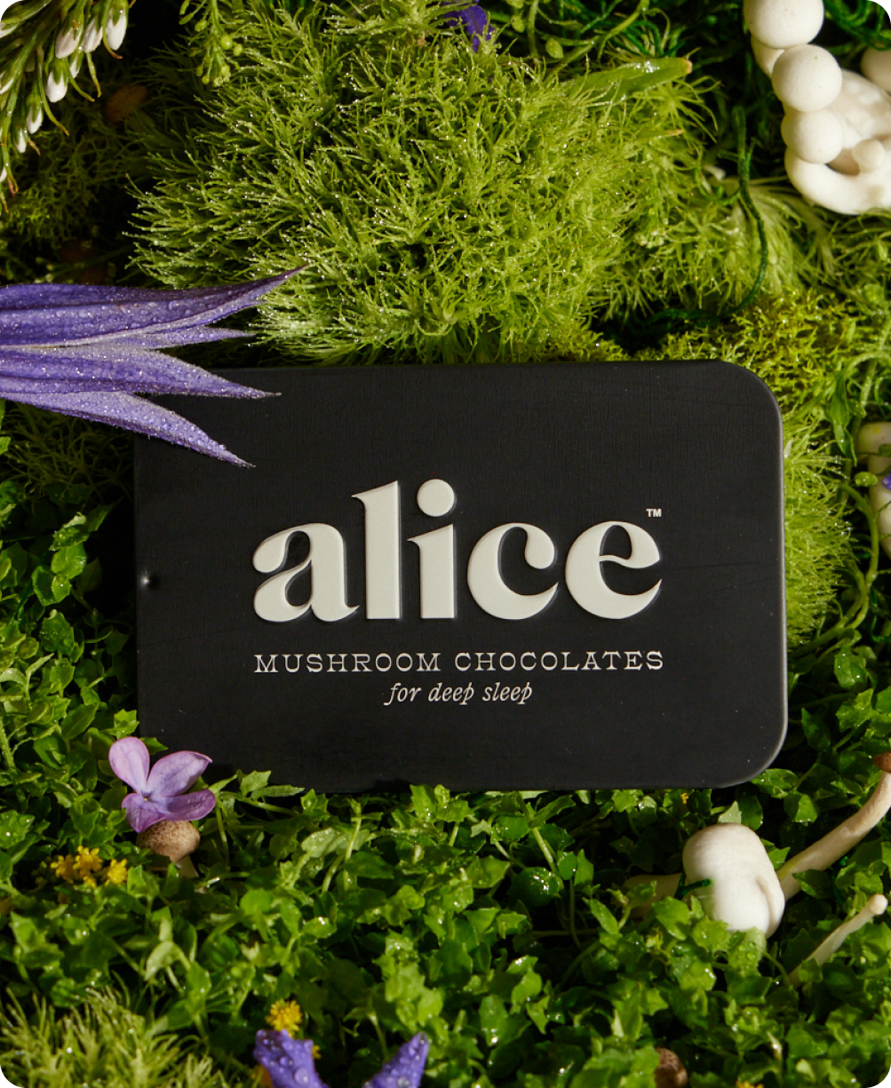 Nightcap Mushroom Chocolate Supplement (Sleep)