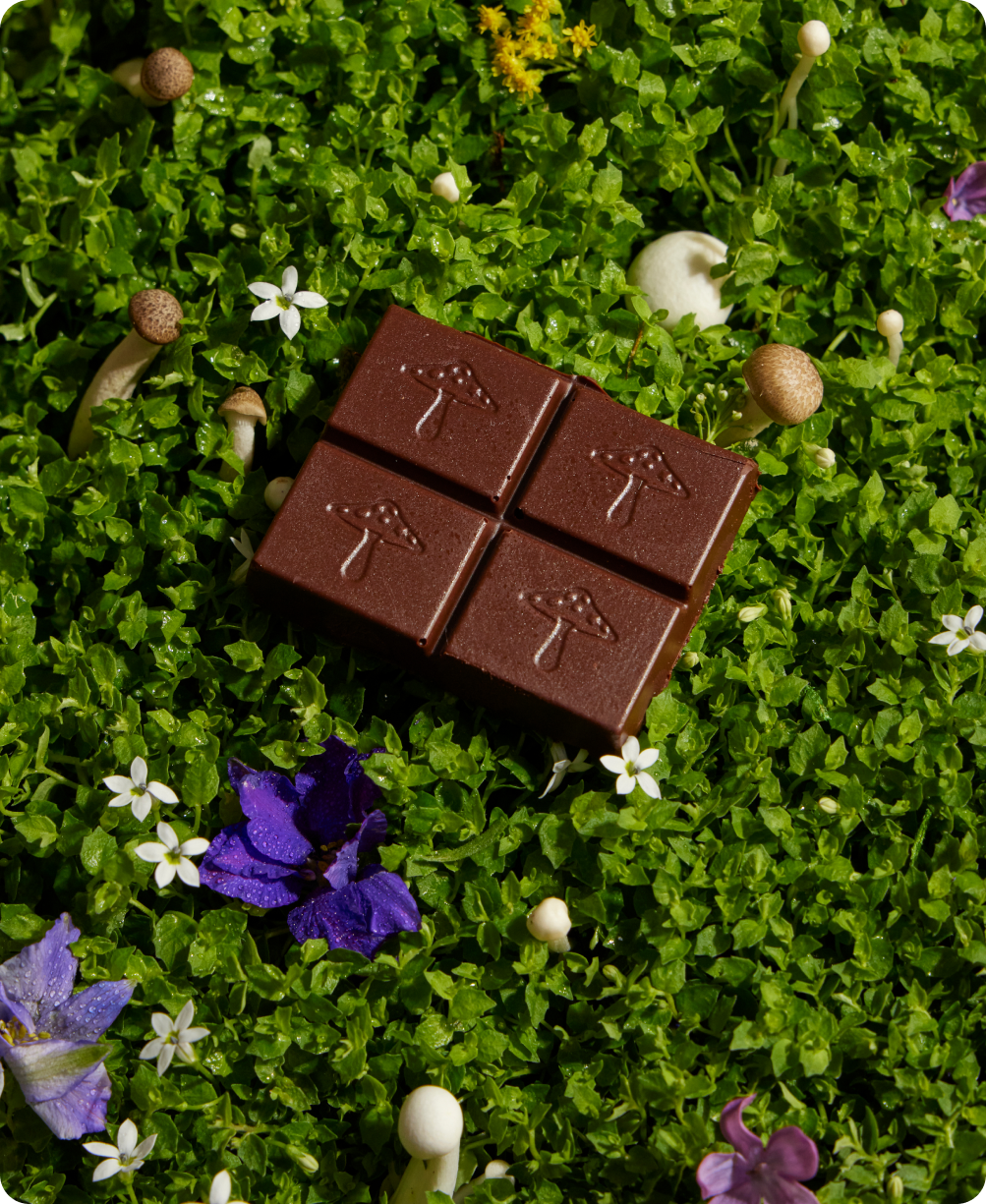 Nightcap Mushroom Chocolate Supplement (Sleep)