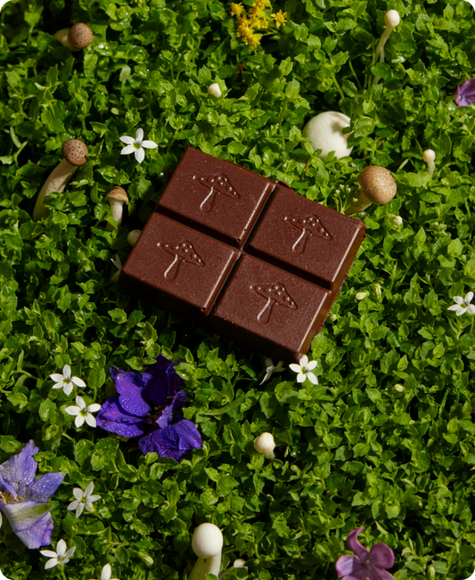 Nightcap Mushroom Chocolate Supplement (Sleep)