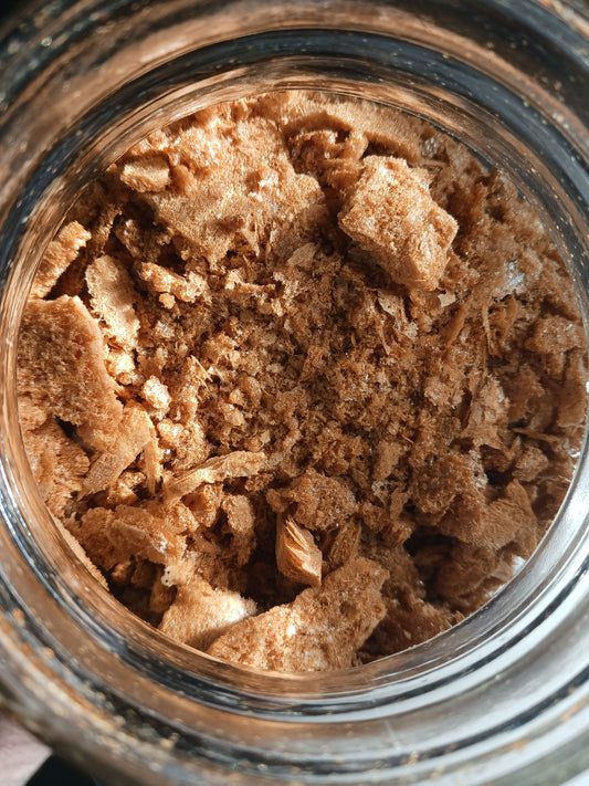 Albino Cordyceps Tincture