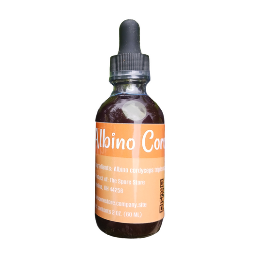 Albino Cordyceps Tincture