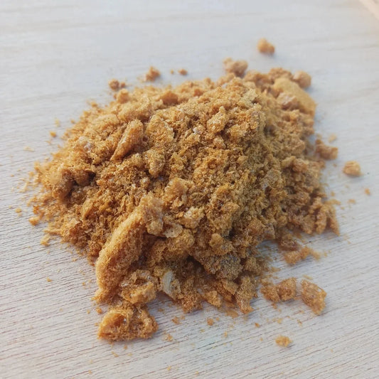 Lion's Mane Tincture