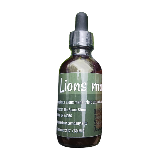 Lion's Mane Tincture