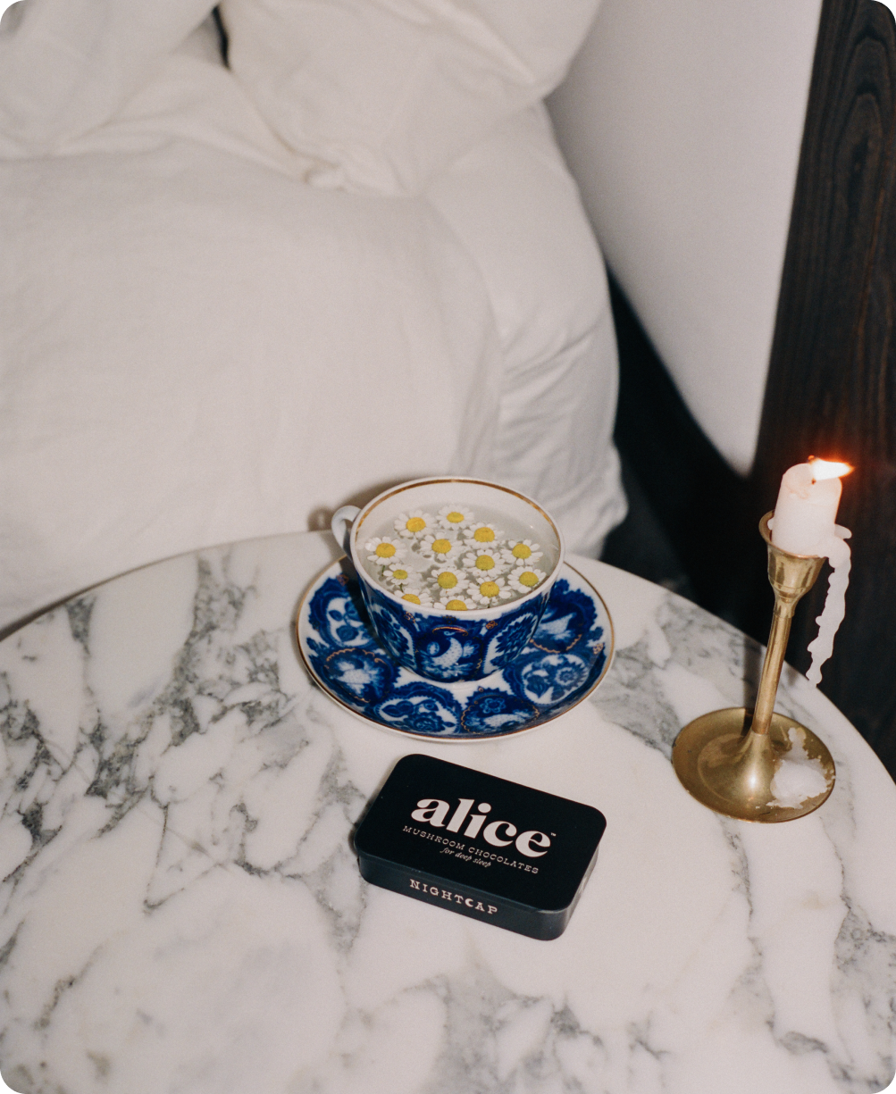 Nightcap Mushroom Chocolate Supplement (Sleep)
